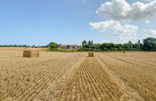 Mullins Cottage - Foto 14