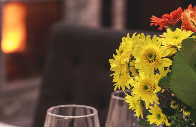 Villa Borealis - Foto 3