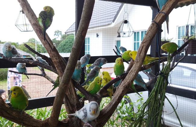 Tehel Farmhouse - Foto 31