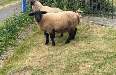 RURAL stone barn with Log Burner, tranquil setting - Foto 58