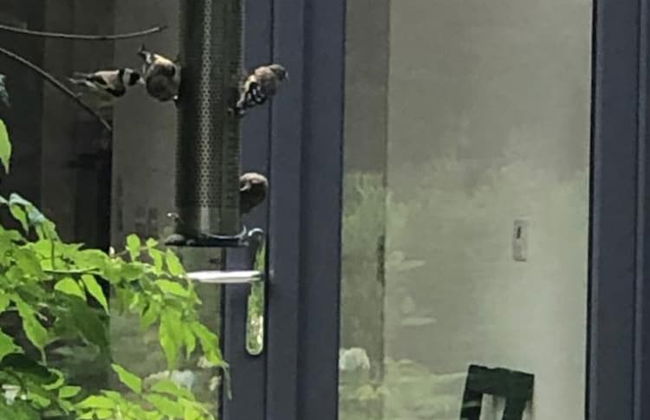 Exclusive Garden Apartment - Foto 18