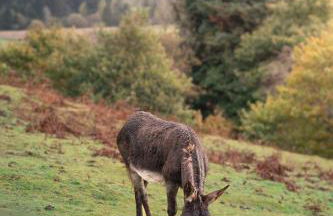 Moffat by Wigwam Holidays - Foto 30