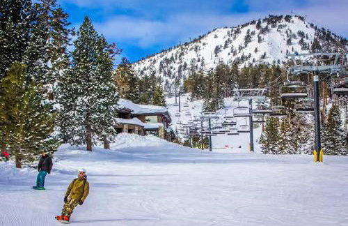 Mammoth Green 101 - Foto 74