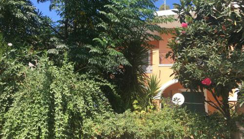 Floros Apartments - Foto 5, Garden