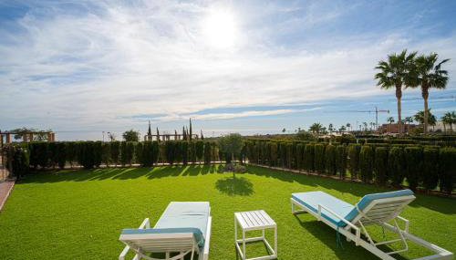 Mango - Photo 4, Garden, Garden view