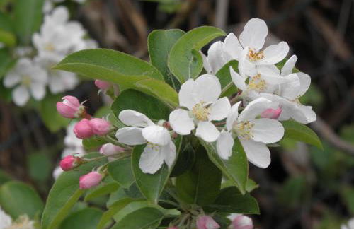 RITA'S ROOM ON THE SEA - Photo 8