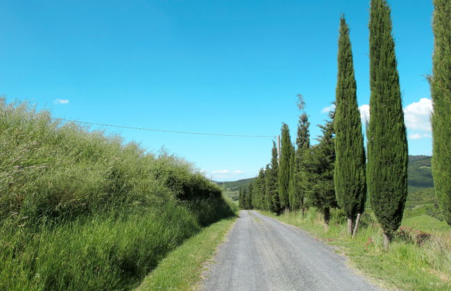 Podere Cafaggiolo - Foto 41