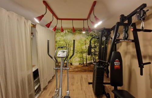 Le Fenil-Logis Sauna Bain Nordique Salle cinéma - Foto 18