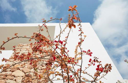 Can Tres Formentera - Foto 43