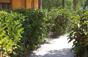 B & B Residence L'Ancora - Foto 14