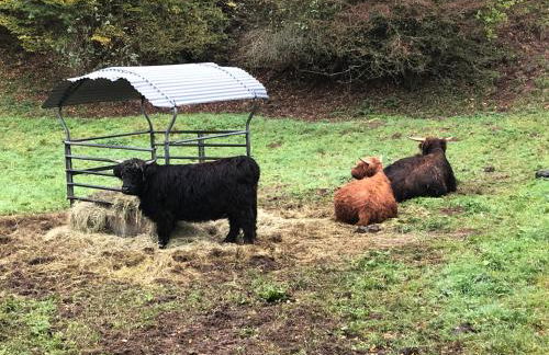 Haus Johannes - Foto 23