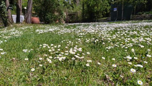 Il mulino che fu la filanda - Foto 3, Garden view