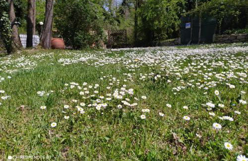 Il mulino che fu la filanda - Foto 3