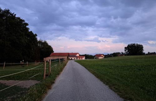 Ferienwohnung z'Dandlberg - Foto 29