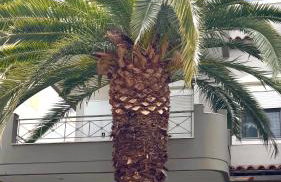 Elegant Glyfada Apartment-private Garden-Near METRO - Foto 24