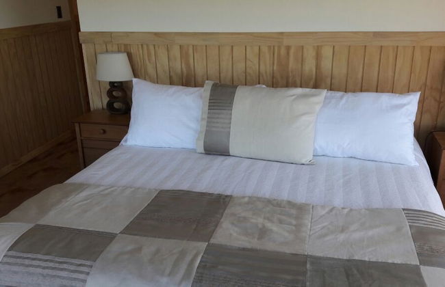 Krause Lodge - Photo 6