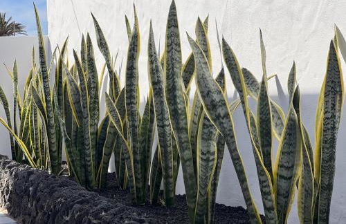 La Bodega de Florencio - Foto 12