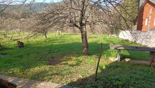 CASA DA RIBEIRA - Foto 5, Garden, Garden view