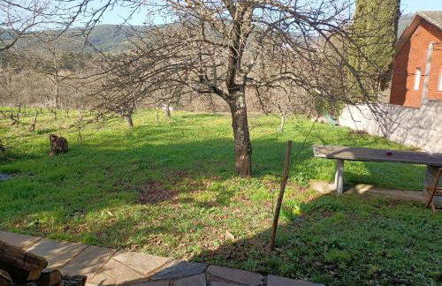 CASA DA RIBEIRA - Foto 5