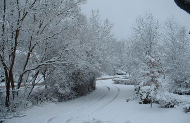 Beautiful Cottage in Malempre With Fenced Garden - Photo 25