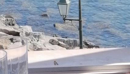 Turchino Apartments by PortofinoVacanze - Photo 4