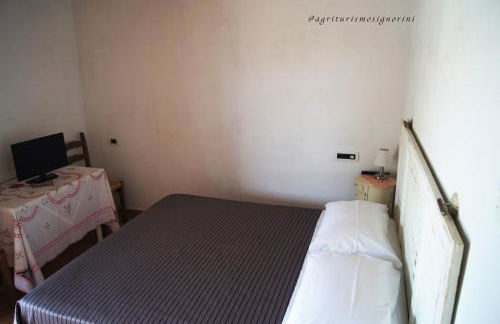 Agriturismo Signorini - Foto 77