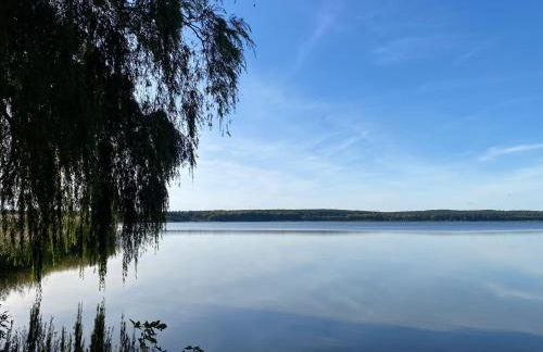 Ferienhaus am Schilfweg mit Kanu - Foto 24