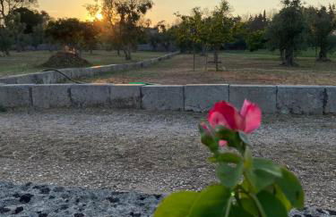 Uliveto Sant' Isidoro - Foto 51