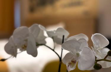 Les Lofts du Noirlac - Foto 71