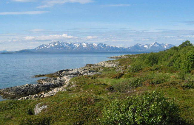 7 Person Holiday Home in Stonglandseidet - Foto 25