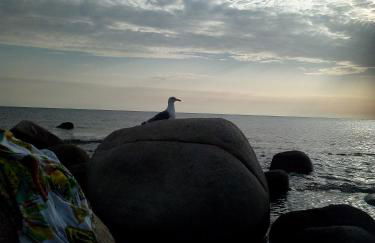 AL MARE, AL SOLE, SI', ma nella CASA DEL MINATORE - Foto 36