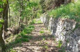 Lake Como Apartment IL NOCE - Foto 20