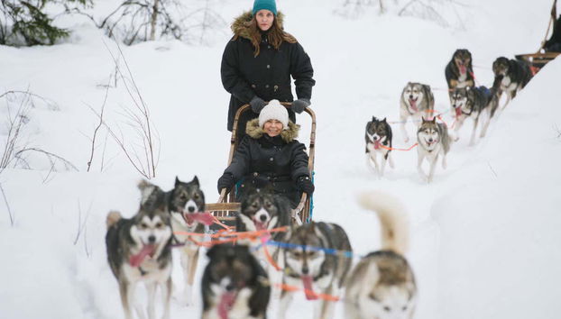 Aventura en moto de nieve + Paseo en trineo de renos y huskies - Foto 4