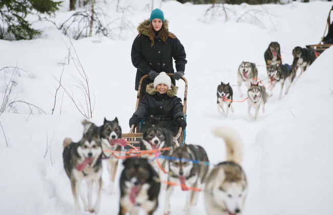 Aventura en moto de nieve + Paseo en trineo de renos y huskies - Foto 4