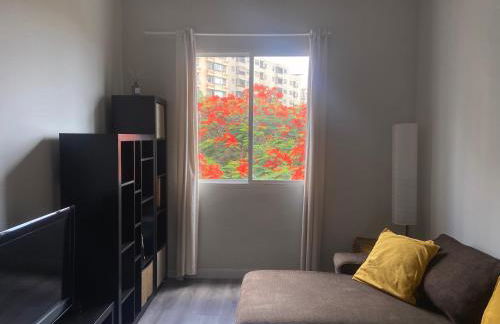 Santa Cruz de Tenerife Toscal - Foto 20