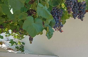 Villa bella Diamante - Foto 20