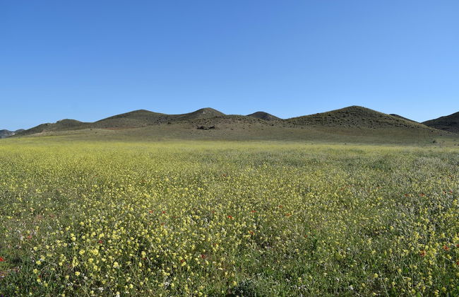 Cortijo la Molina de Cabo de Gata - Foto 38