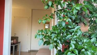 Casa vacanze Castellara - Foto 3