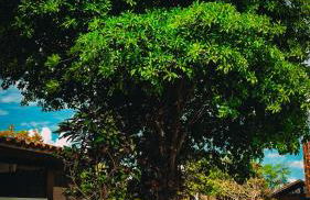 Pousada Fazenda Glória - Foto 20