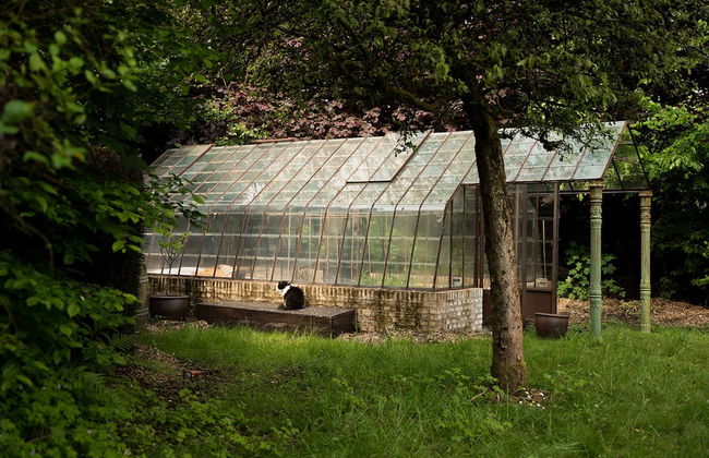 La Petite For t Antique Countryside Greenhouse - Photo 6