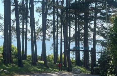 Robins Lodge by the sea - Photo 22