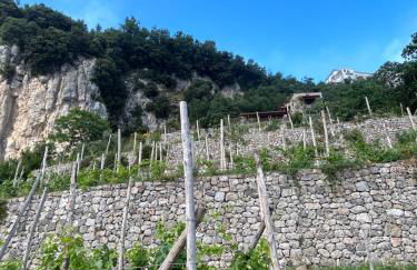 Agriturismo Orrido di Pino - Foto 55