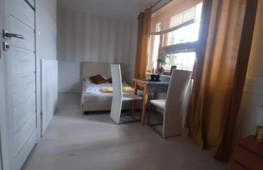 APARTAMENTY ZIELONY KAMELEON - Foto 15