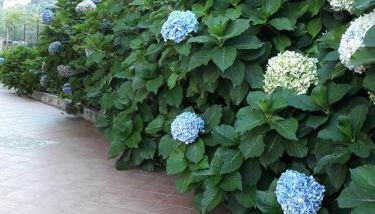 La Casa Dei Colori - Foto 3, Garden