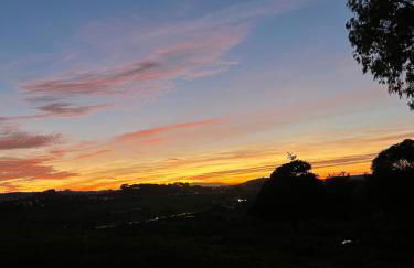 Santuário SOS Animal - Foto 39