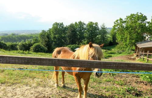 Holiday Home Elena by Interhome - Foto 33