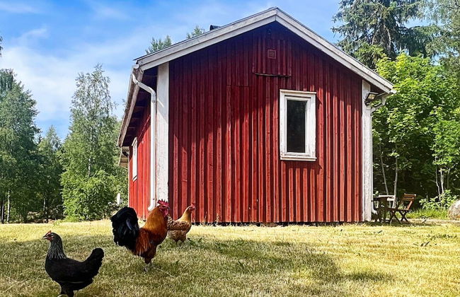 4 Person Holiday Home in Molkom-by Traum - Foto 33