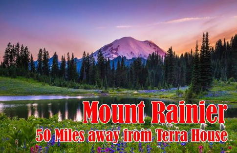 Terra House Tacoma - EV Power Station, Crib, Stroller, High Chair - Foto 33