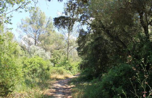 Villa Filipinas ,CITY CENTER -ETV10310 - Photo 39