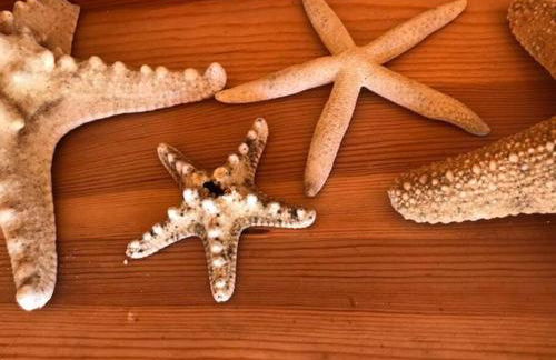 Cabane de Pêcheurs Huraia - Foto 9